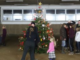 img_0687_web